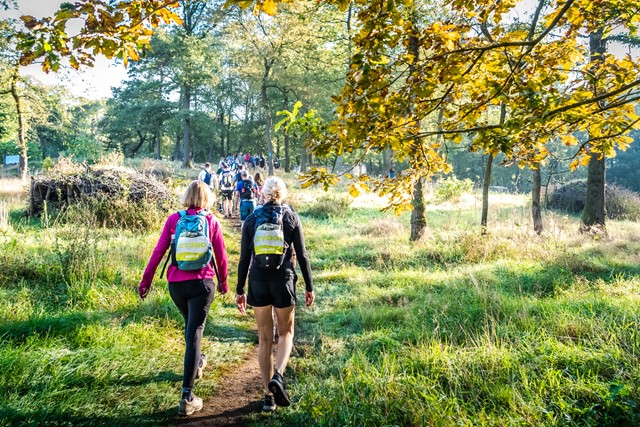 Zevenheuvelenhike