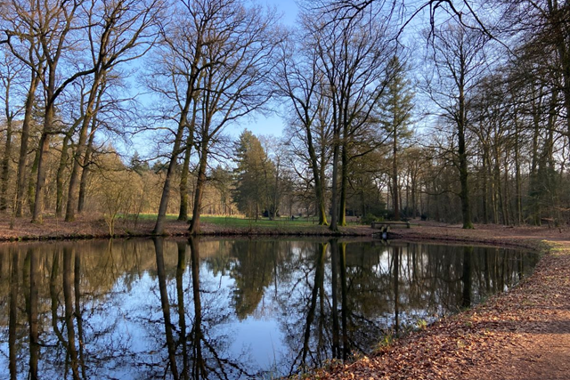 Wandelroute Wandeling Vol Verhalen Op Landgoed Warnsborn: Vijver warsnborn