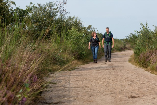 wandelaars op zandpad op de heide.