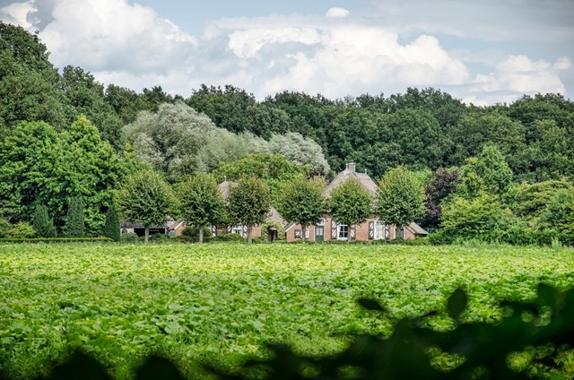 afbeelding van het Sallandse landschap met een boerderij in de verte.