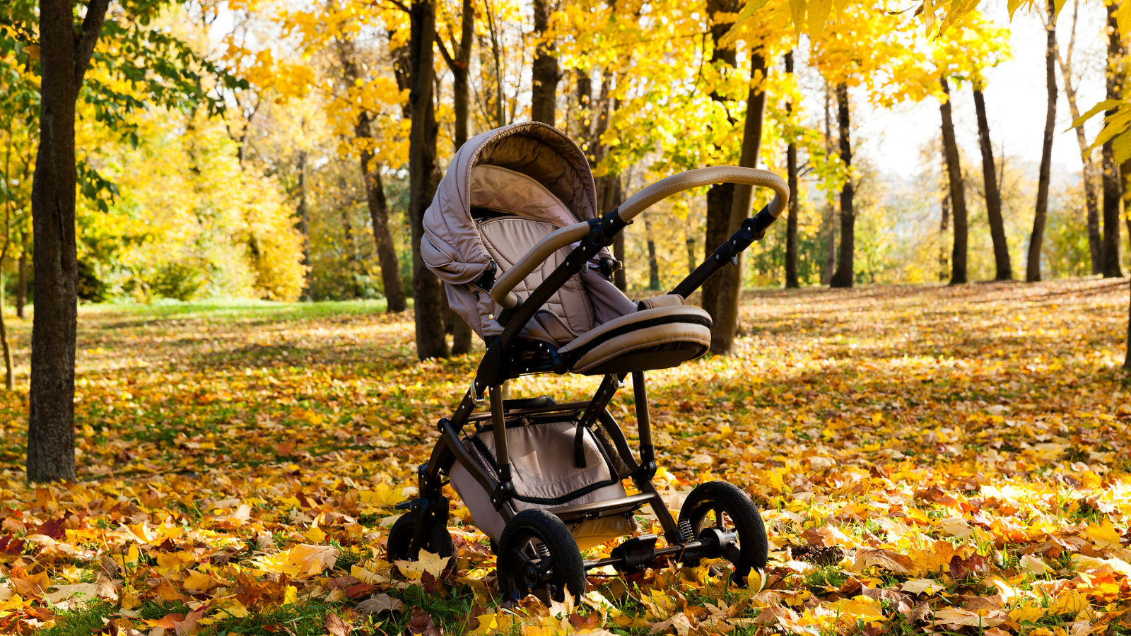 Wandelen Met Kinderwagen Dit Zijn De Mooiste Wandelroutes