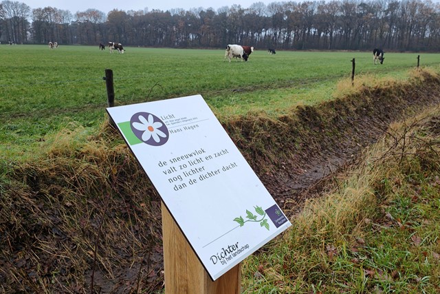 Wandelroute Dichter bij het landschap; Hans Hagen