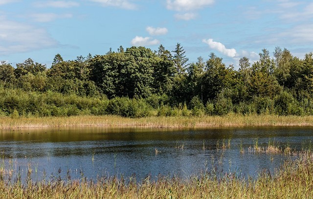 Het Kuinderbos