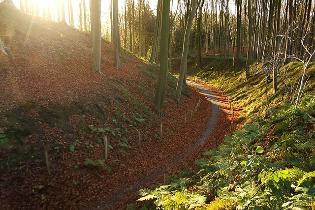 Wandelvakantie Met De Camper Muziekbos