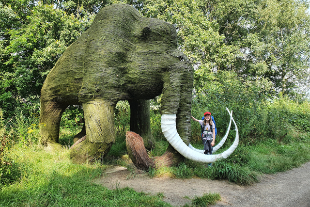Wandelen In De Ijstijd De Hunebedden Van Borger; Mammoet mammoetpad