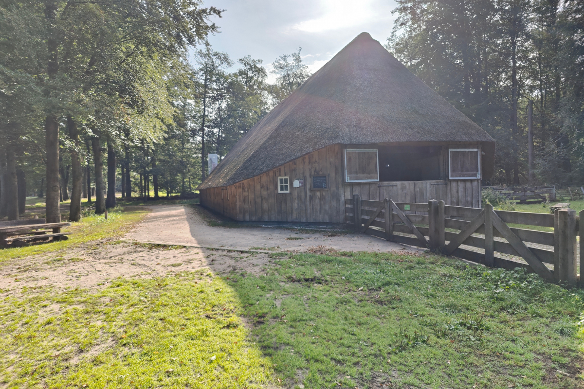 Boswachterspad Sallandse Heuvelrug Koningsbelt Schaapskooi Sallandse Heuvelrug