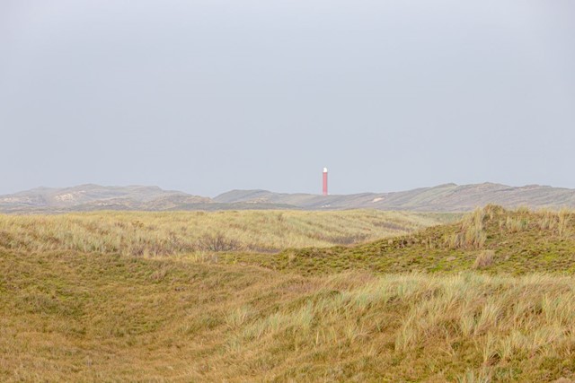 afbeelding van een mistig duinlandschap met een rode vuurtoren.