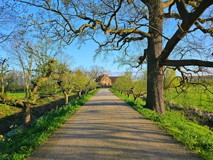 Wandelen door Gelderse Streken de Appeldijk in de Betuwe