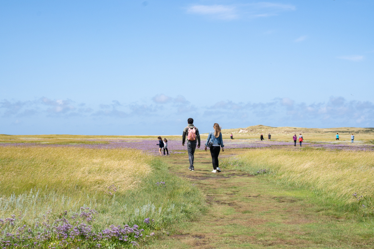 Wandelen Op Texel Slufter Leonie Hoever Verkleind