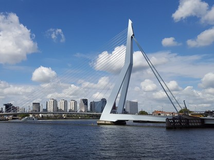 Erasmusbrug Rotterdam