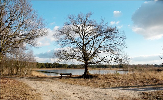De Bergvennen