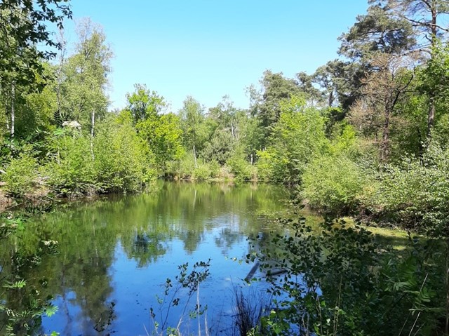 De Strabrechtse heide