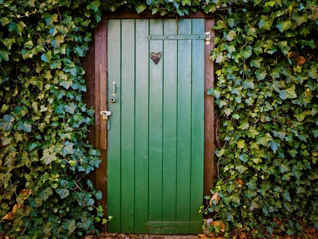 Groene deur van een schuur omringt door planten