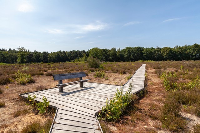 Vlonderpad in het Mastbos bij Breda