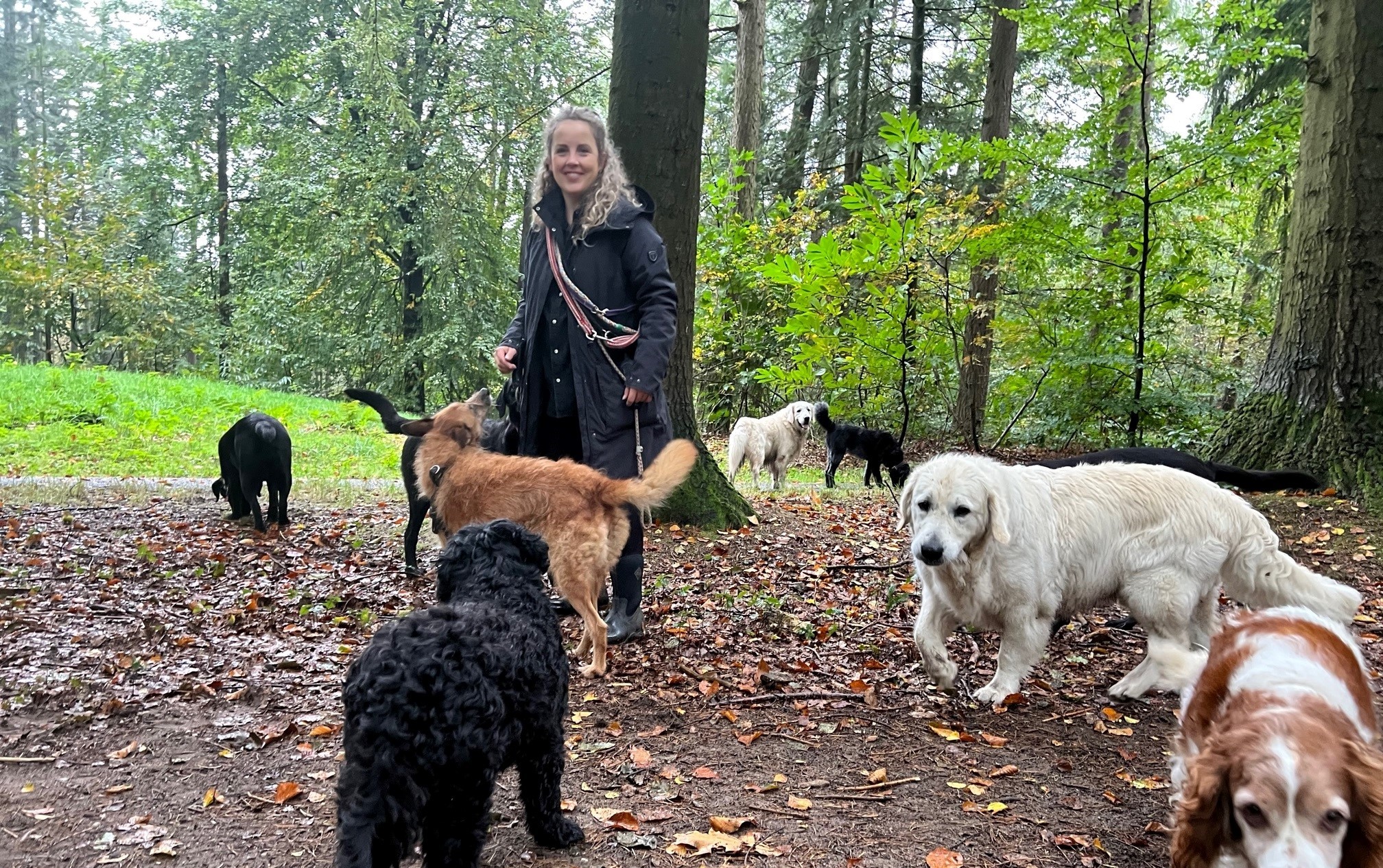 Anne Middelham met haar hondenuitlaatservice 