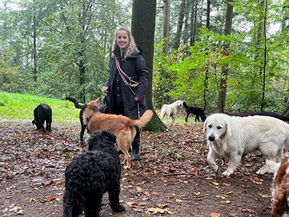 Anne Middelham met haar hondenuitlaatservice 