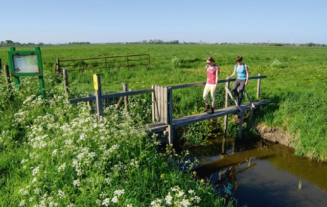 Wandelaars door weiland