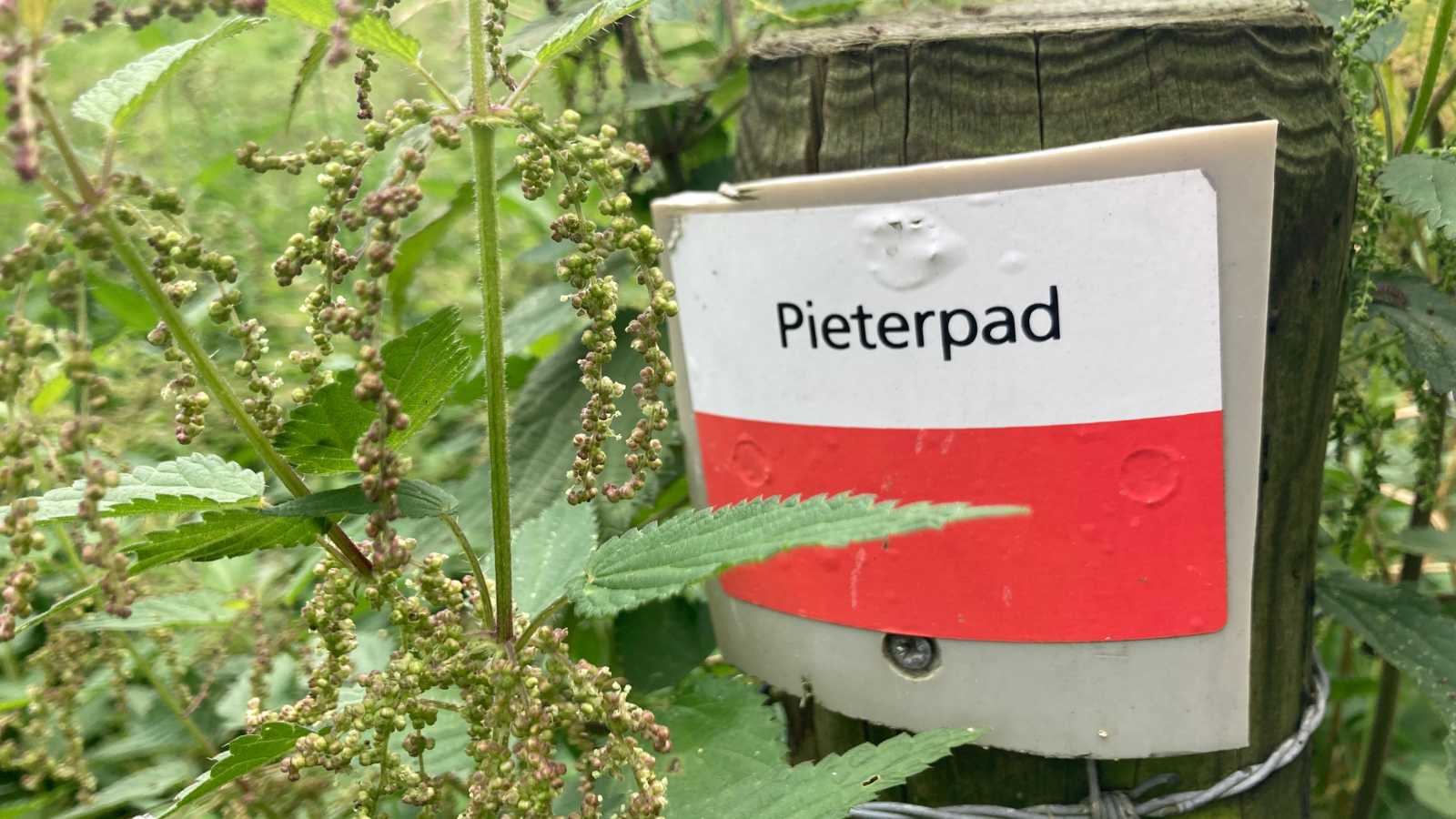 Pieterpad Alle Etappes, Informatie En Tips (2)