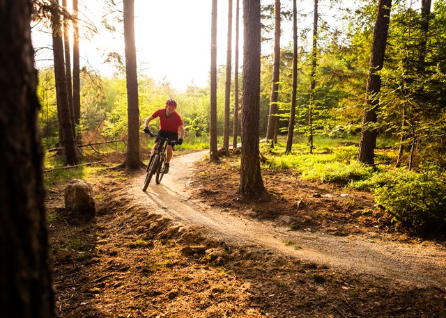 afbeelding van een mountainbikers op een pad.