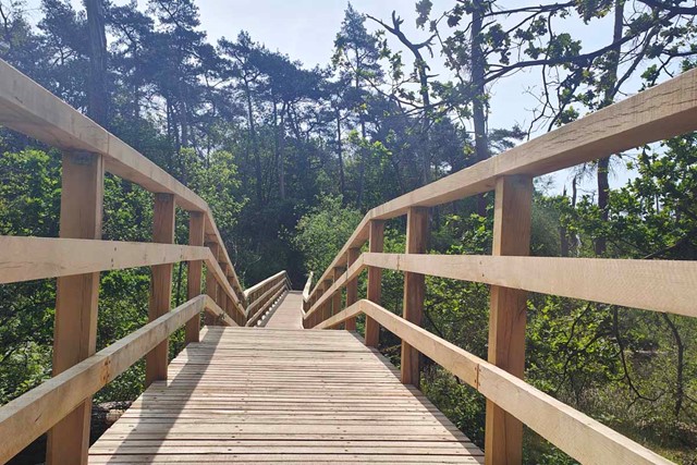 houten vlonderpad in het bos.
