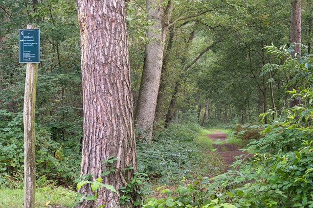Rivierklei in de bodem, daarmee is het Zwart Water rijker dan de rest van de Maasduinen