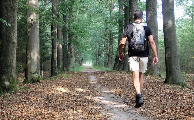 netwerkwandelen Landgoed Gorp Rooverroute