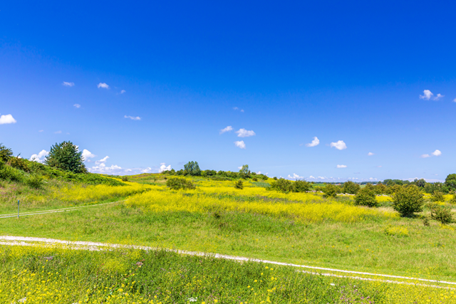 Groene Hartpad Etappe 7 Delft – Zoetermeer Zoetermeer En haar buytenpark