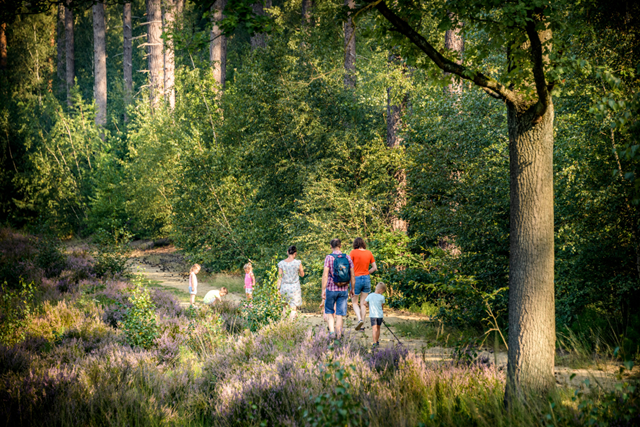 Wandelroute Belgie, Vlaams Brabant Norbertijnenwandeling Wandelen Door Averbode Bos En Heide