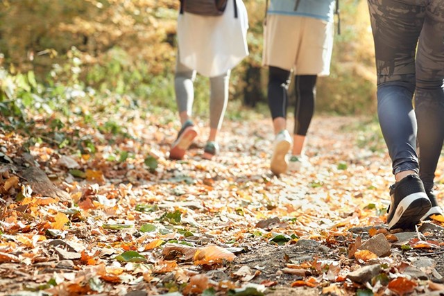 afbeelding van benen van meerdere wandelaars die samen lopen.