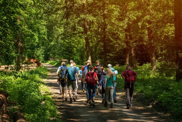 /ergernissen-wandelaars-drukte