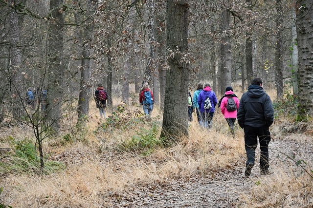 Verjaardagswandeling langs de Oisterwijkse vennen
