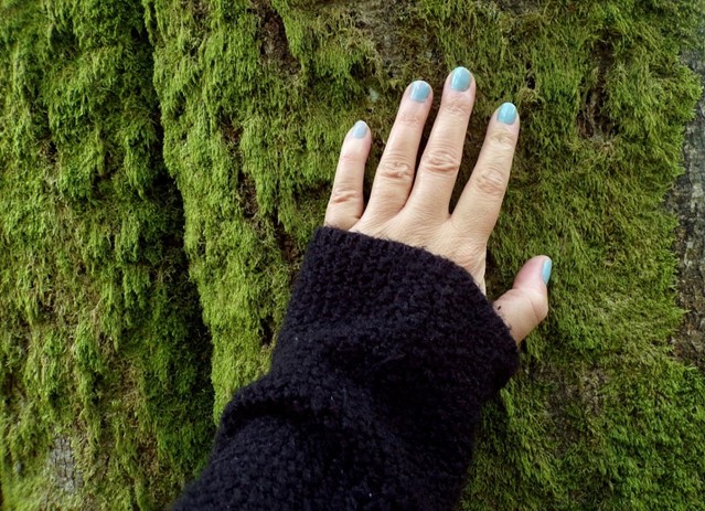 Hand op boom