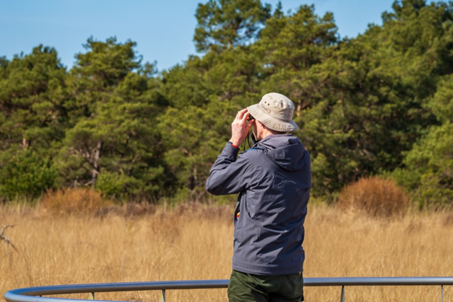 Wandelen Drenthe 5X De Mooiste Wandelroutes Fochteloërveen