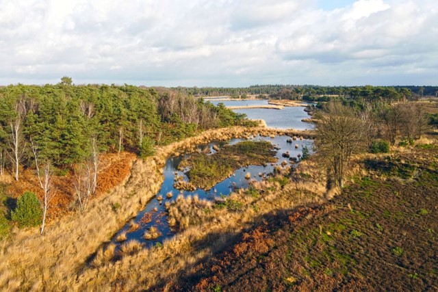 5x de mooiste wandelroutes in De Kampina