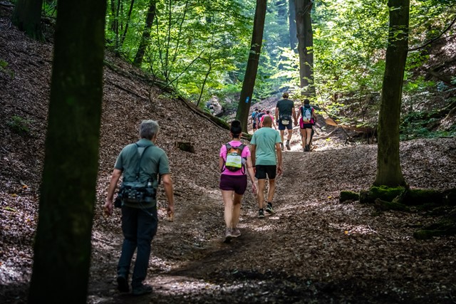 Zevenheuvelenhike