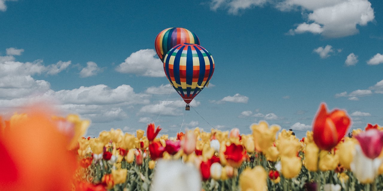 Tulpenveld met luchtballon op de achtergrond