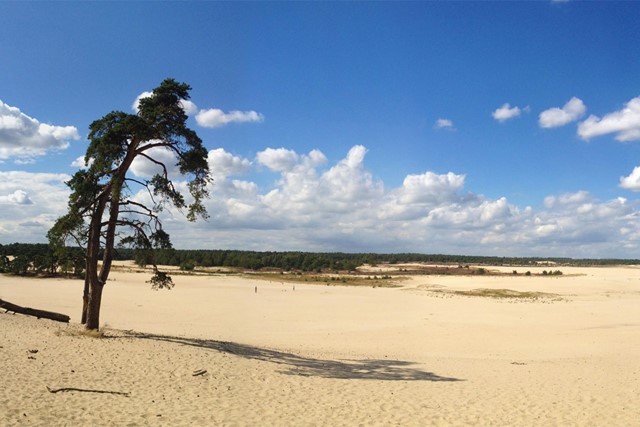 Afbeelding 2 | Wandelroutes in Noord-Brabant
