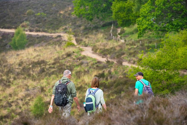 De Trans-Veluwe-route