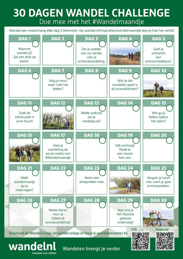 afbeelding van de 30-dagen-wandel challenge in een schema.