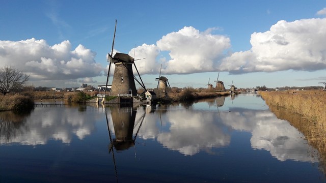 De molens bij Kinderdijk 
