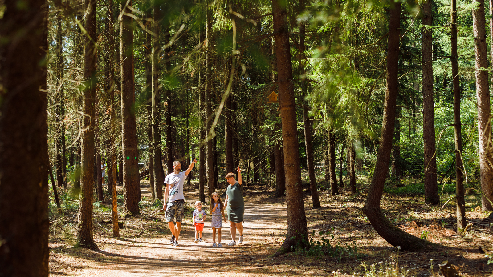 Wandelaars in het bos bij RCN De Jagerstee (foto RCN)