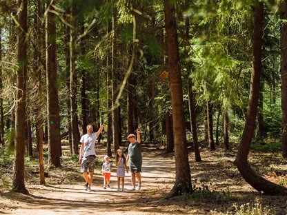 Wandelaars in het bos bij RCN De Jagerstee (foto RCN)