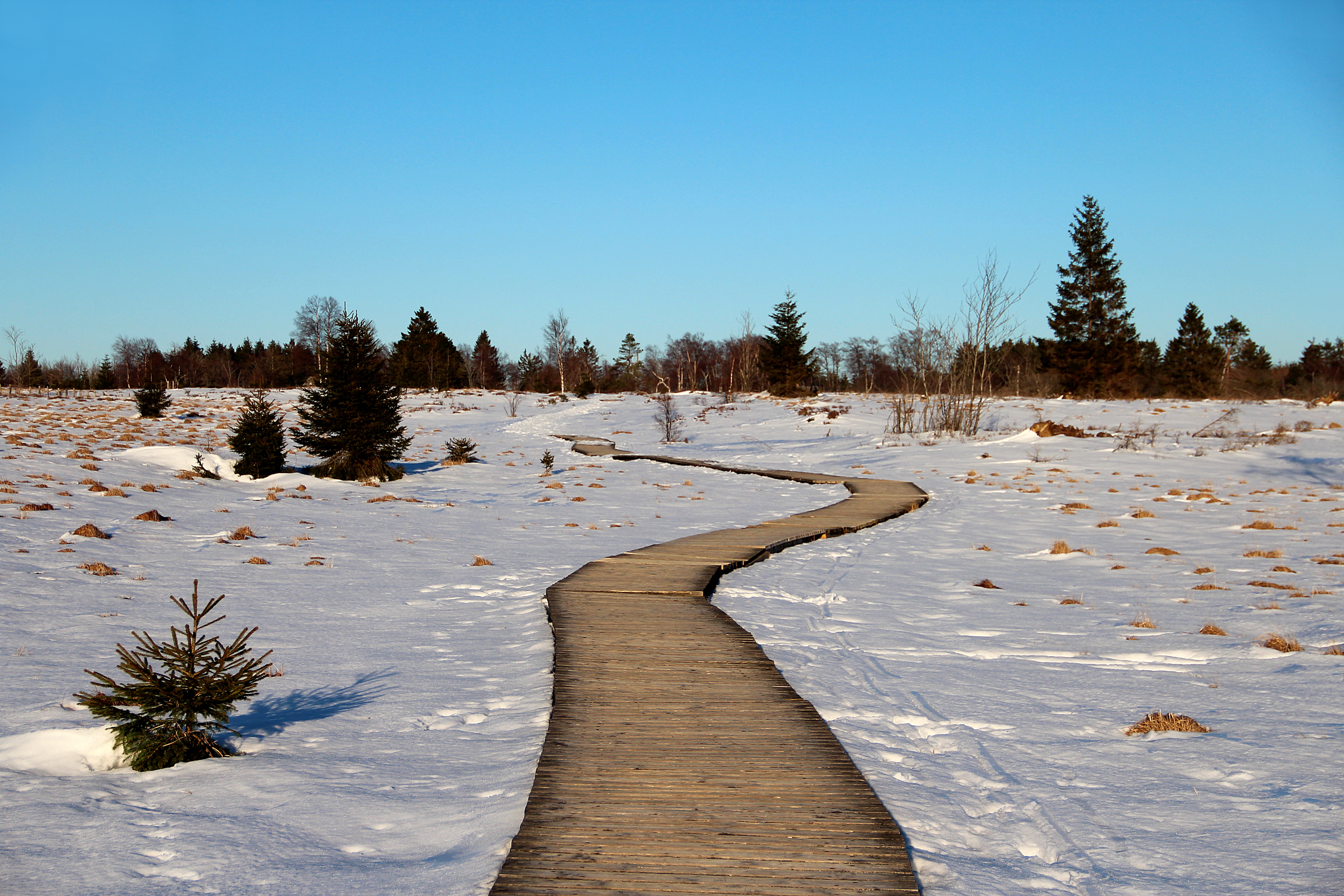 De omgeving van Xhoffraix, foto: Wikimedia - Jean-Pol GRANDMONT