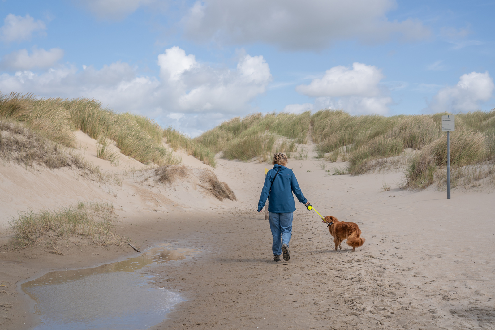 Met de hond wandelen op Texel: De Hors