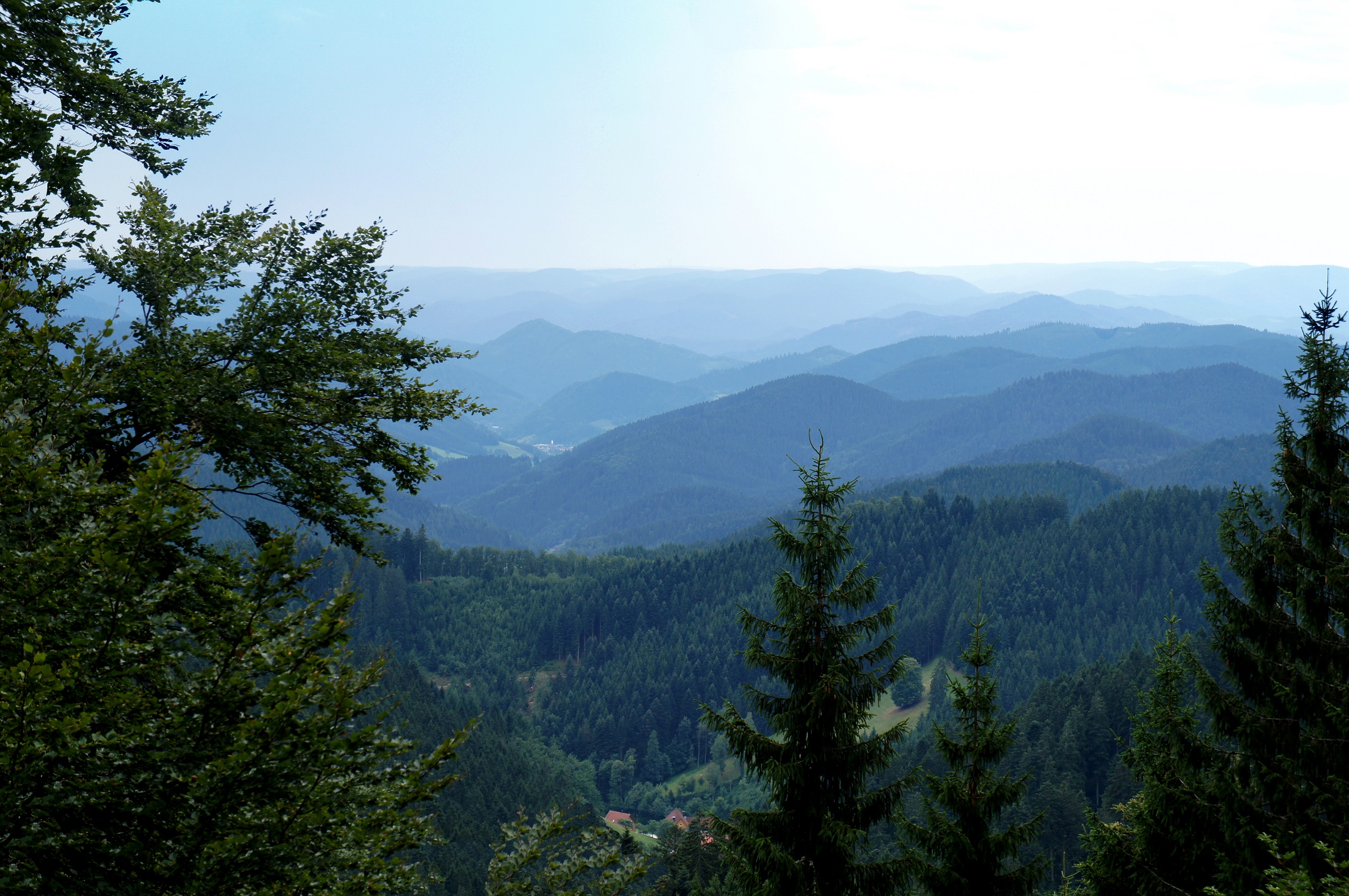 Wandelen in Duitsland: het Zwarte Woud