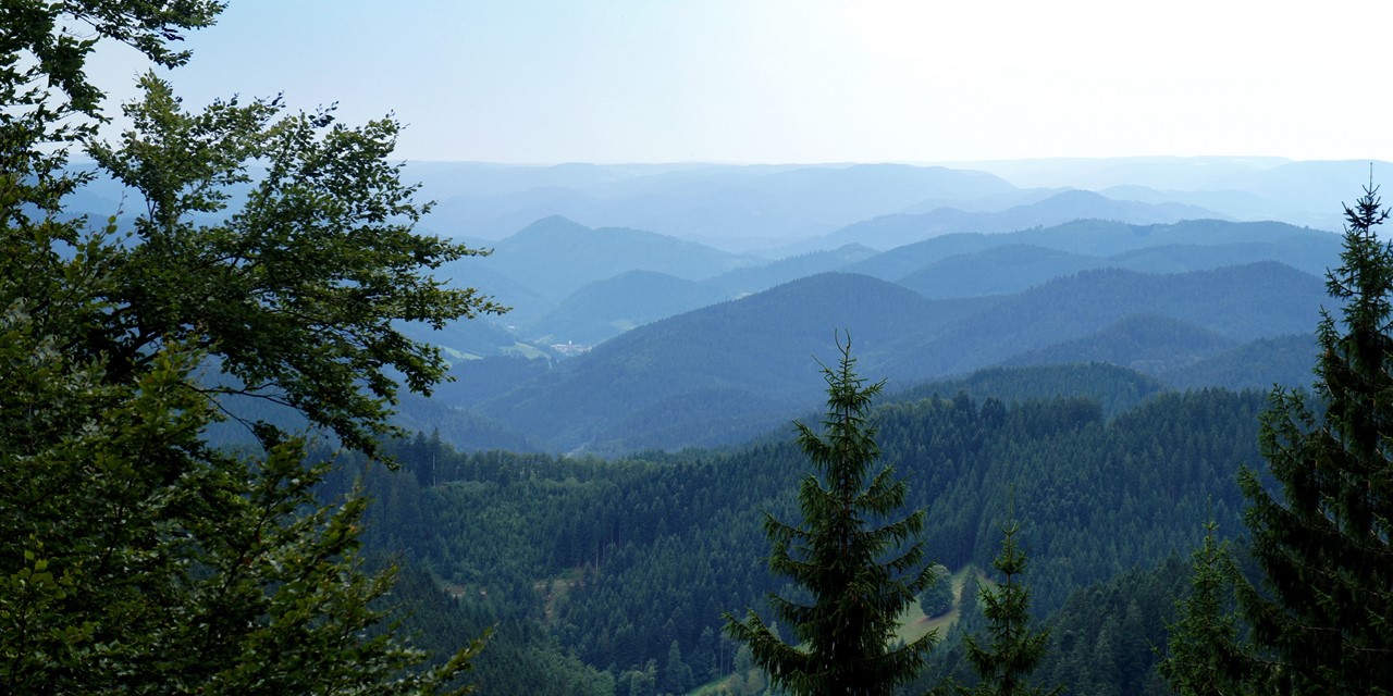 Wandelen in Duitsland: het Zwarte Woud
