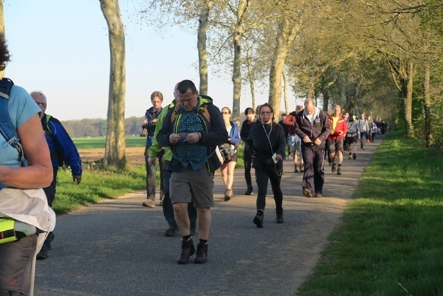 Afbeelding wandelaars tijdens de Kennedymars