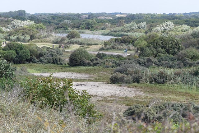 Meijendel