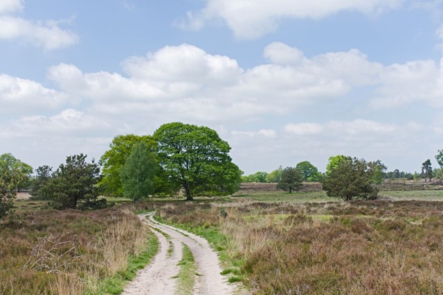 Wandelroutes In Twente 10 Tips Routetip 8 10 Uur Hellendoornse , Nijverdalse Berg Schuilenburg