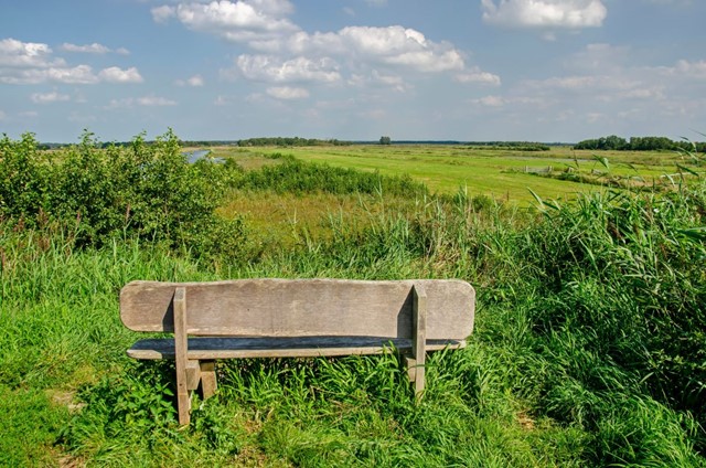 Utrechtpad Een Streekpad Vol Hoogtepunten; Rustplek Tienhoven